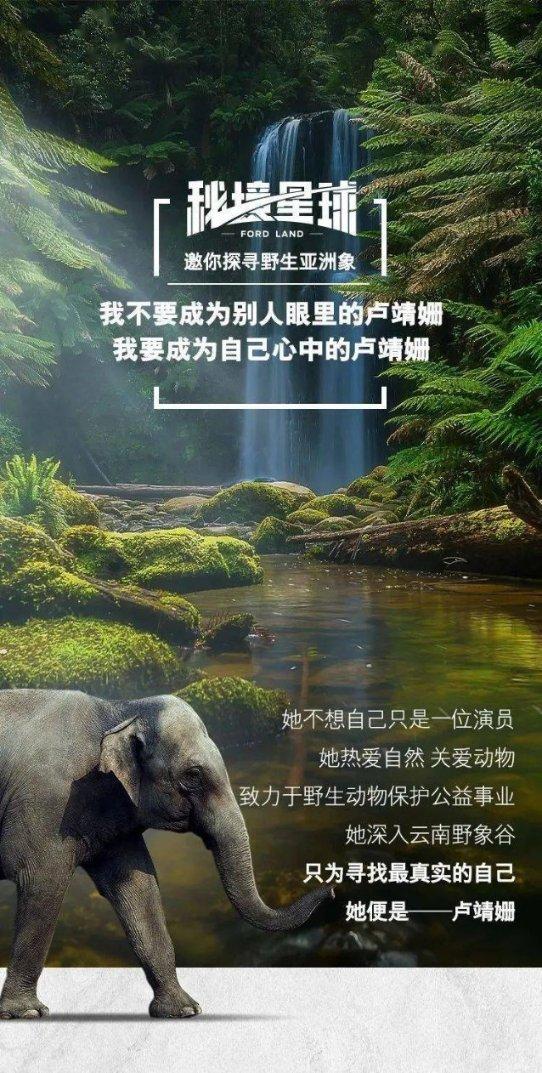 救援农场少年