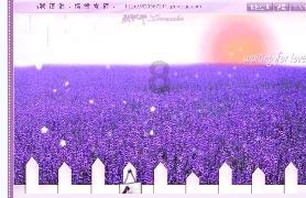 沪江开心词场